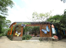 Butterfly Area